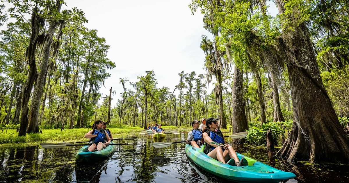 Celebrate The Diverse Complex History Of Louisiana S River Parishes   La River Parishes Hero Bc0d2157d501d4729a3d5631708a6b2e 